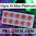 Vigra Xl Max Platinum 18